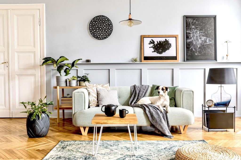 Stylish,Interior,Design,Of,Living,Room,With,Modern,Mint,Sofa,
